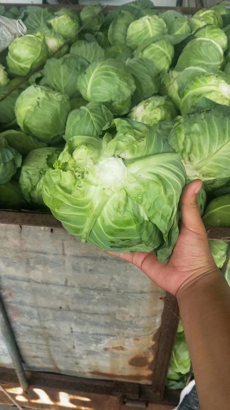 原产地货源大量现货供应