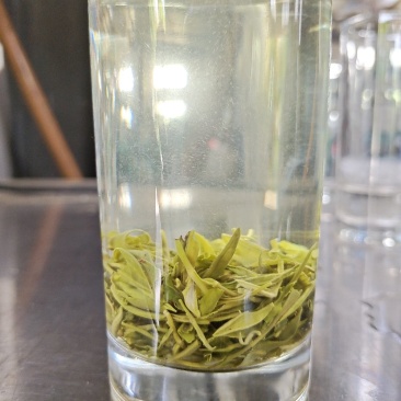 毛尖茶