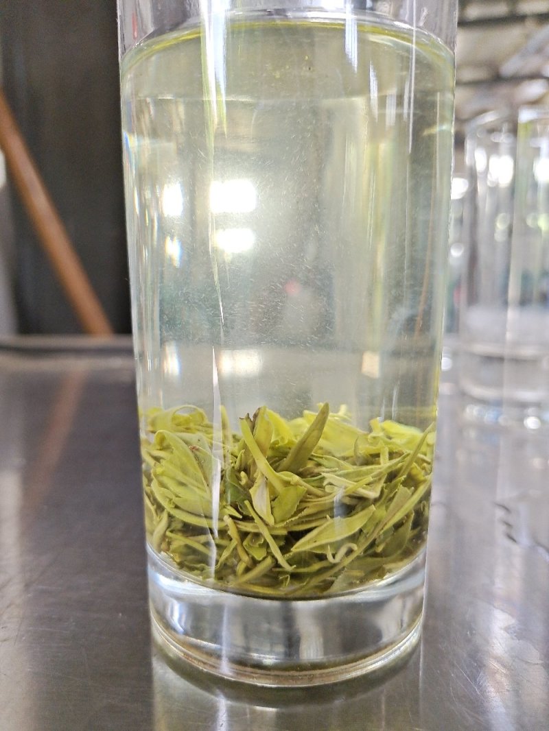 毛尖茶