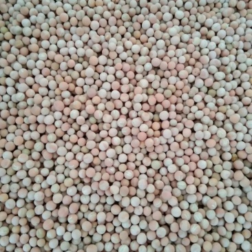 朱砂红豌豆