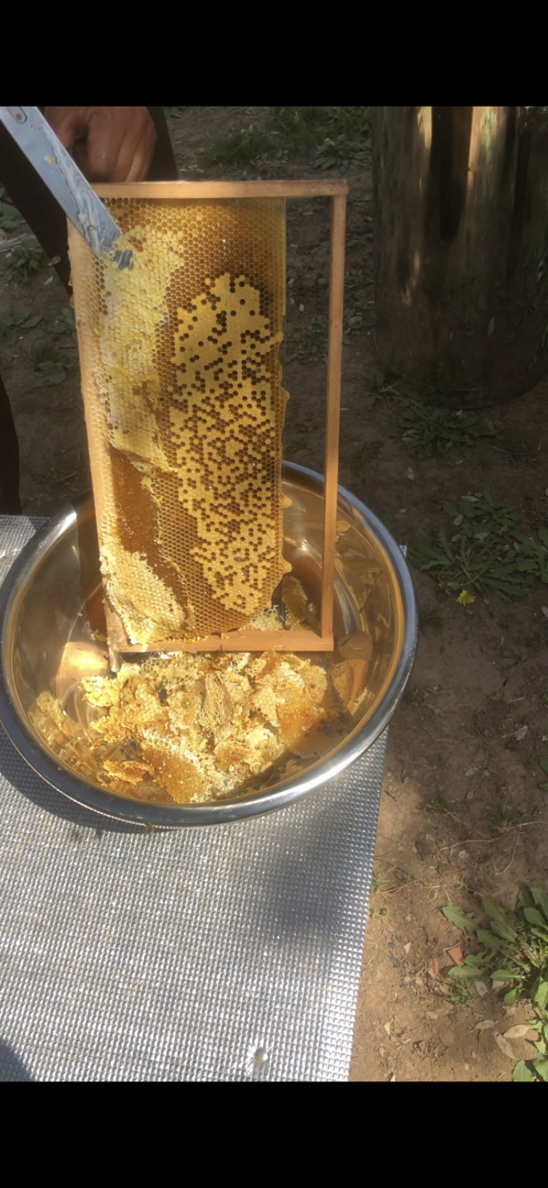土蜂蜜自产自销假一赔十