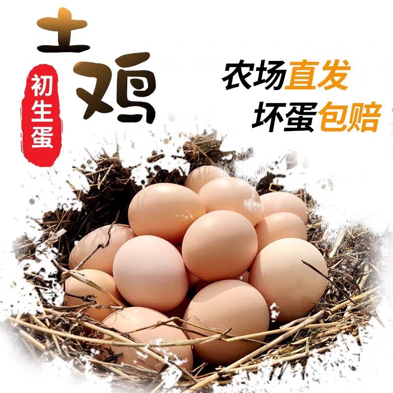 太行山农家土鸡蛋，【36左右】养殖场直供。现收现发！