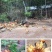 太行山农家土鸡蛋，【36左右】养殖场直供。现收现发！