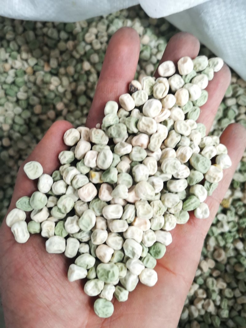 豌豆种子台湾长寿仁豌豆种子山地大王豌豆水果豆种子