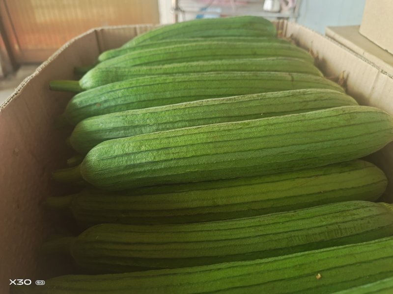 短油皮