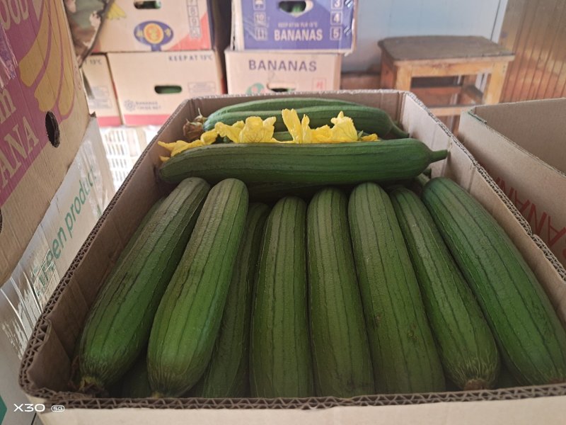 短油皮
