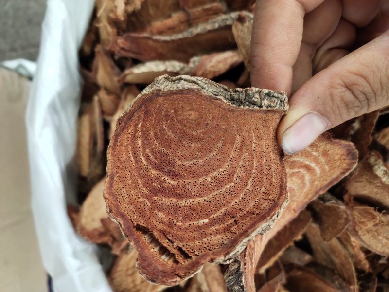 野生过江龙片根部大片无碎粉过江龙藤扭骨风