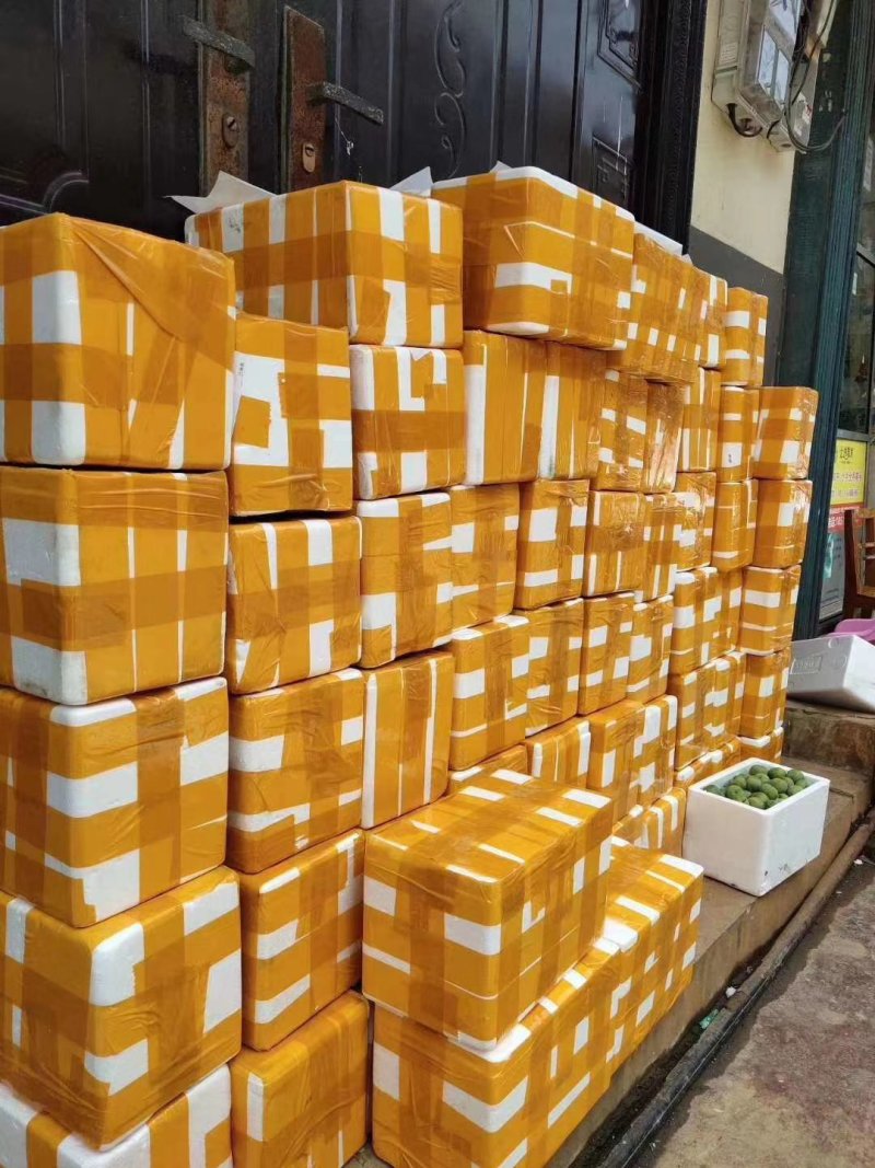 四月李，冰脆李，蜂糖李