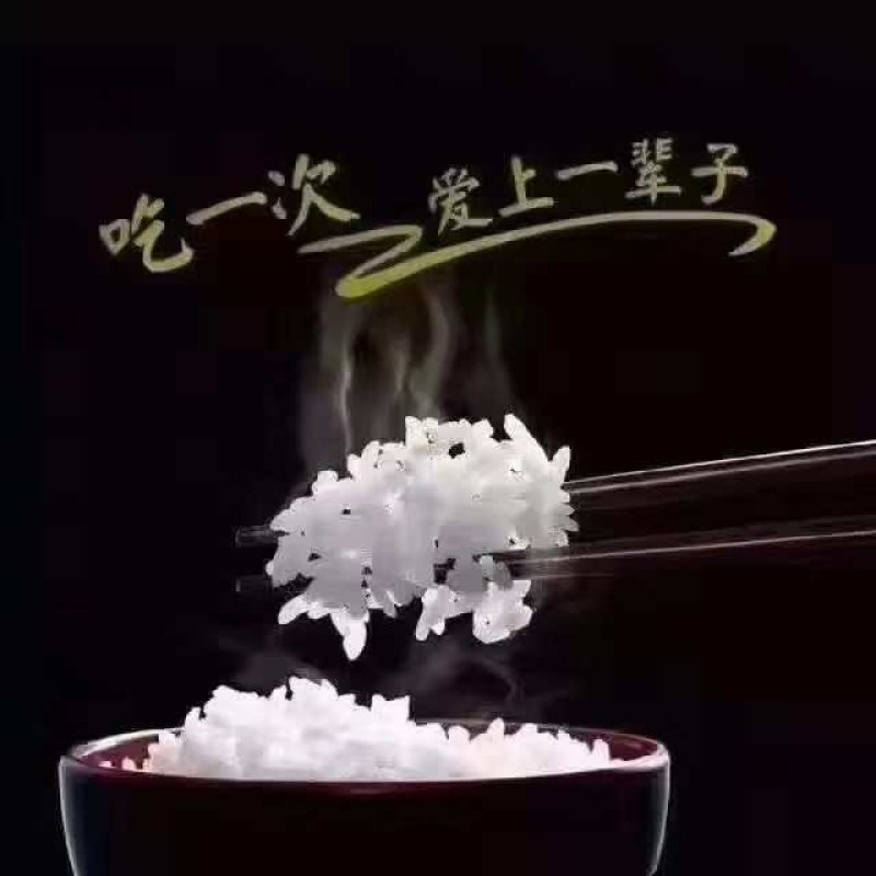 稻花香2号大米白板袋50斤装，诚招电商微商代理，共同发展
