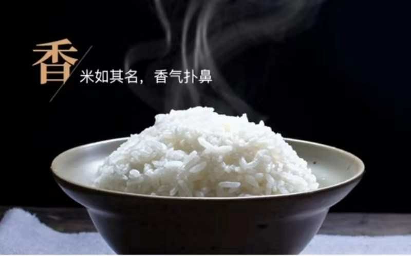 稻花香2号大米白板袋50斤装，诚招电商微商代理，共同发展