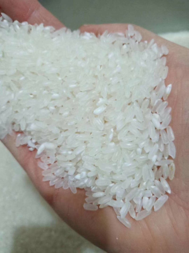 稻花香2号大米白板袋50斤装，诚招电商微商代理，共同发展