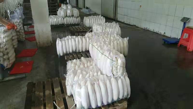 精品白萝卜，口感脆甜，产地直销，质量保证，全国发货