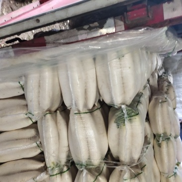 精品白萝卜，口感脆甜，产地直销，质量保证，全国发货