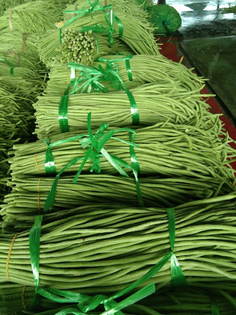 青豆角，虹豆，货量一天十万斤以上
