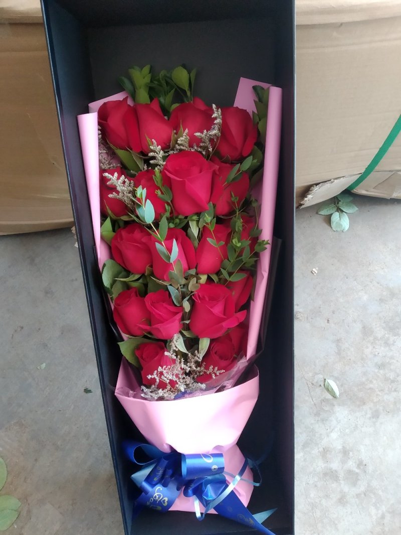 玫瑰鲜切花基地直发婚庆祝福老婆生日家庭插花心意一件代发