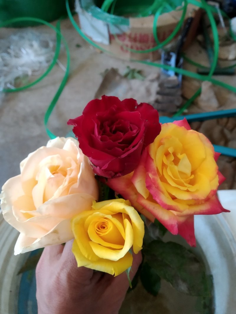 玫瑰鲜切花基地直发婚庆祝福老婆生日家庭插花心意一件代发