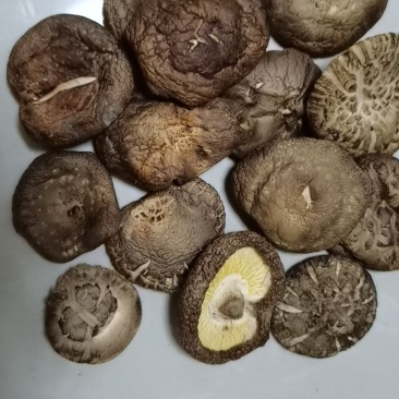 干菇鲜菇苹果黄桃