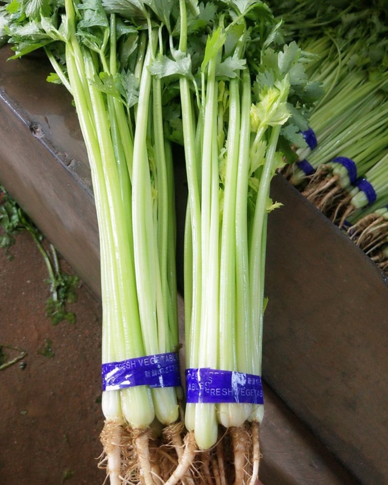 精品香芹，市场，超市直供联系