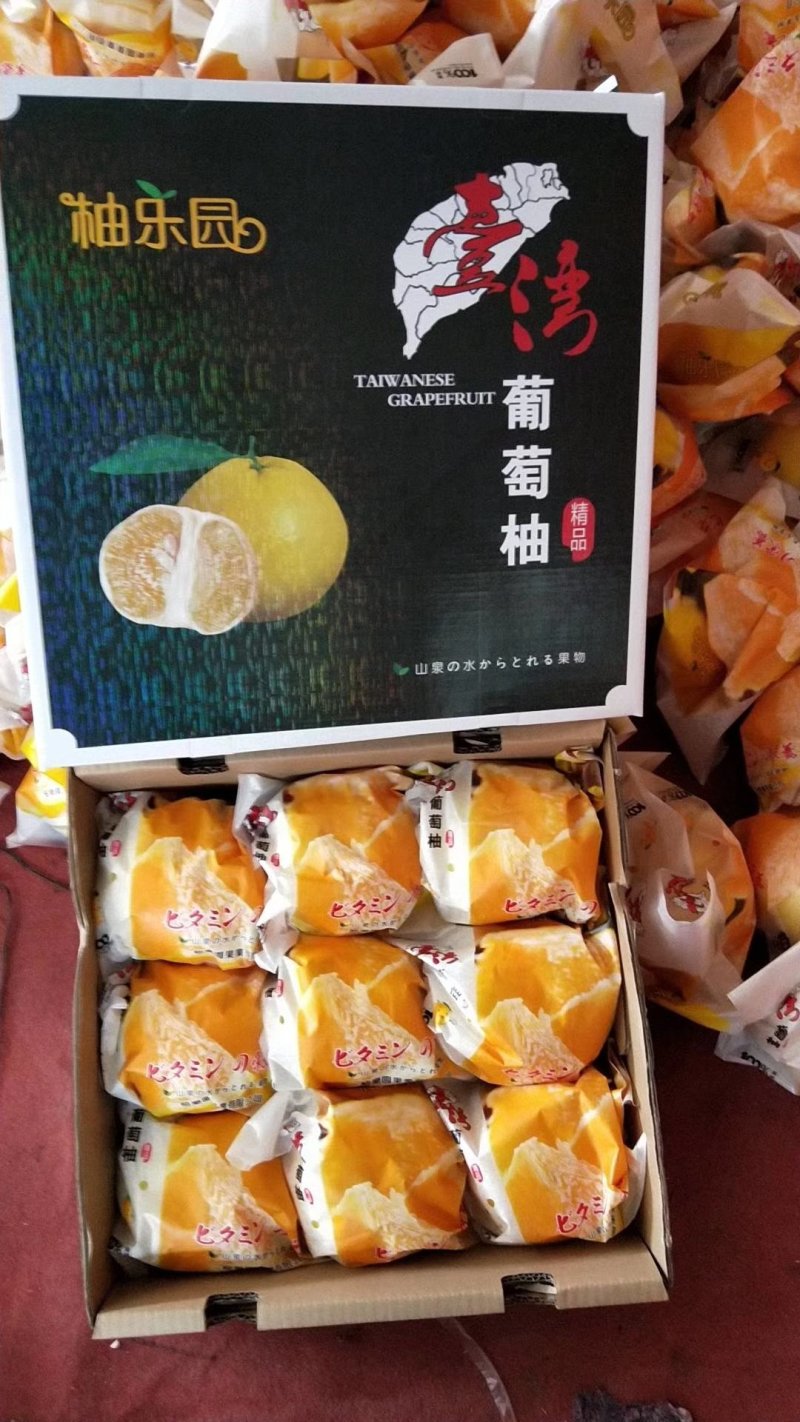 福建省平和县坂仔镇葡萄柚