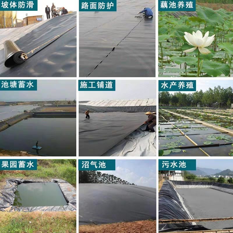 鱼塘防渗膜防水膜沼气池土工膜甲鱼龙虾防逃膜