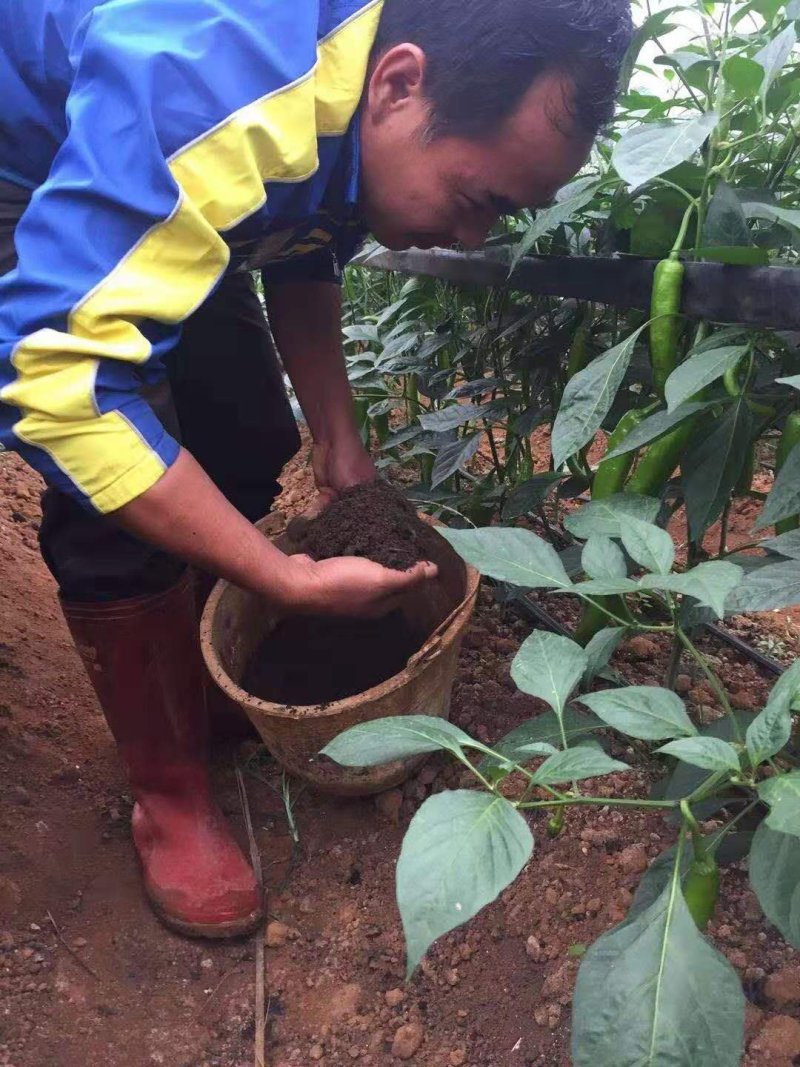云南怒江州有机肥千益生物菌发酵有机肥猪粪鸡粪禽畜粪便