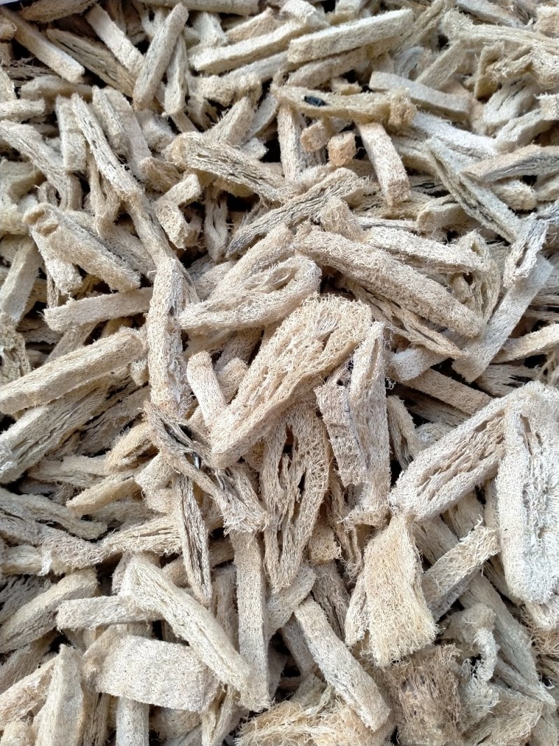 丝瓜络！切段！整棵规格齐全！一手货源大货批发价格优