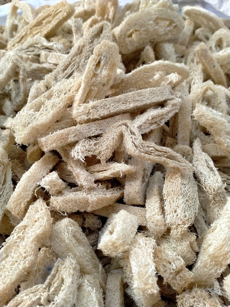 丝瓜络！切段！整棵规格齐全！一手货源大货批发价格优
