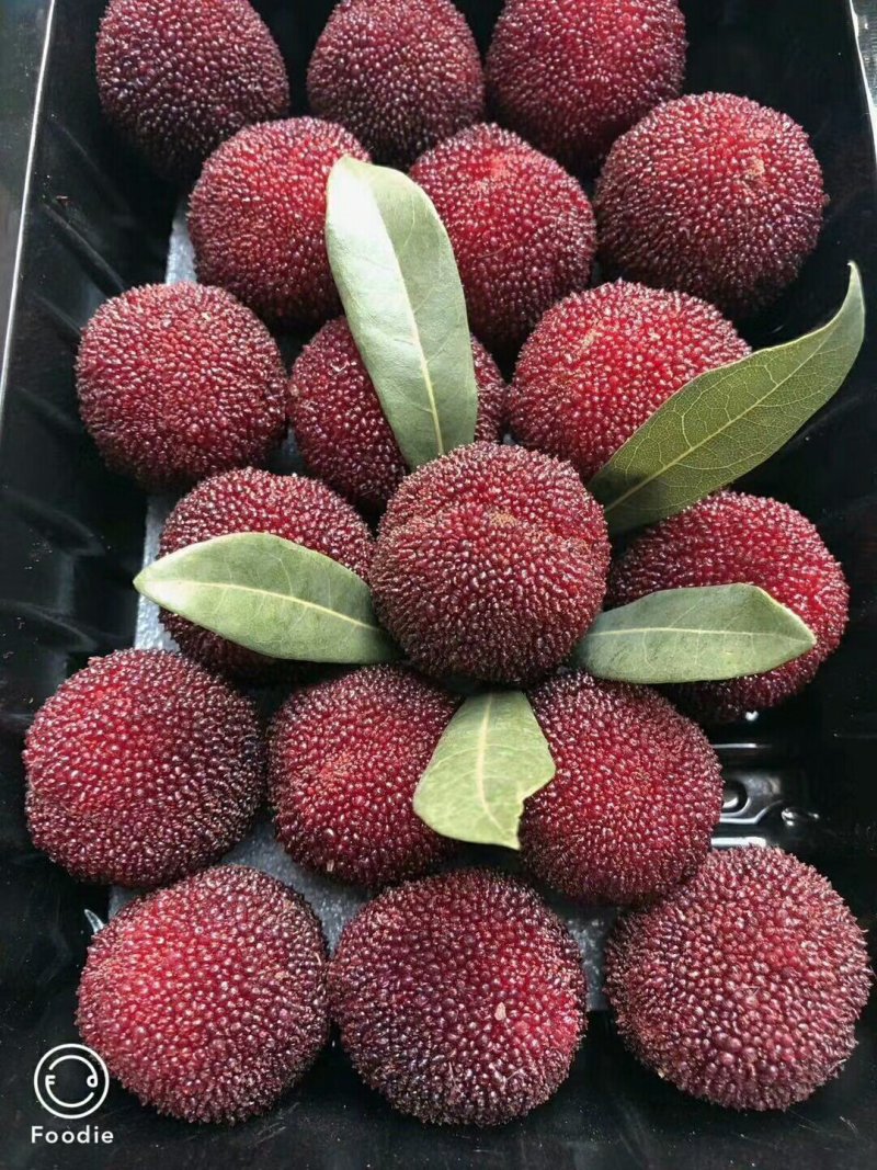 杨梅