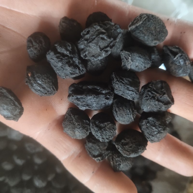 乌梅大统货有肉新货关书药业