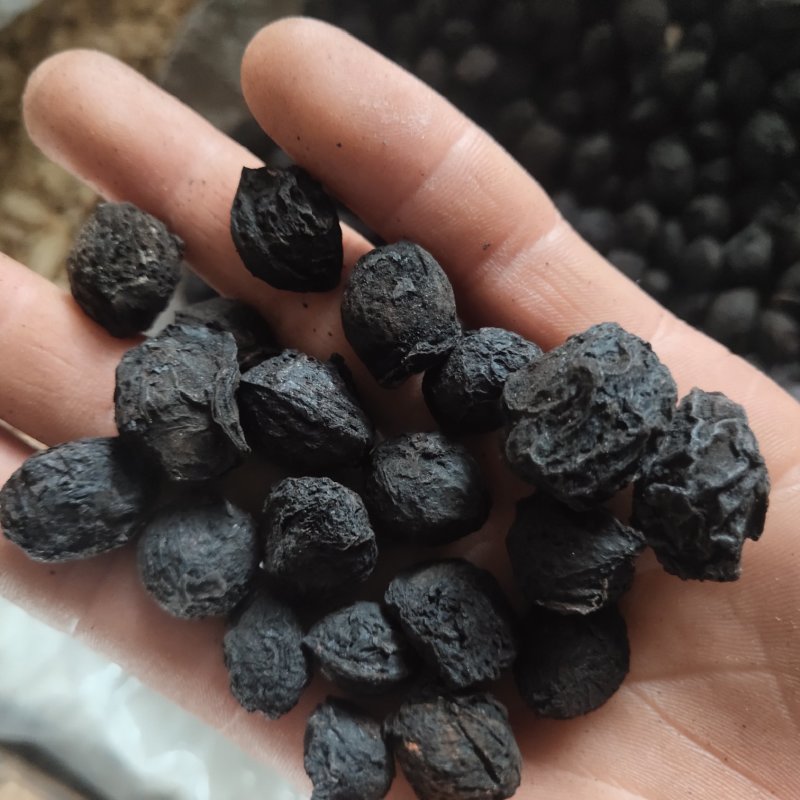 乌梅大统货有肉新货关书药业