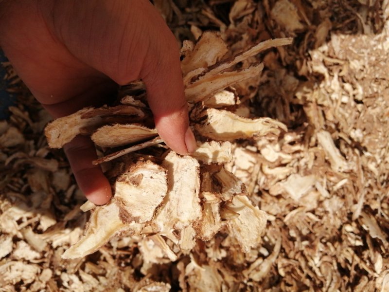 当归甘肃岷县农家自产当归头片产地直销一手货源质保
