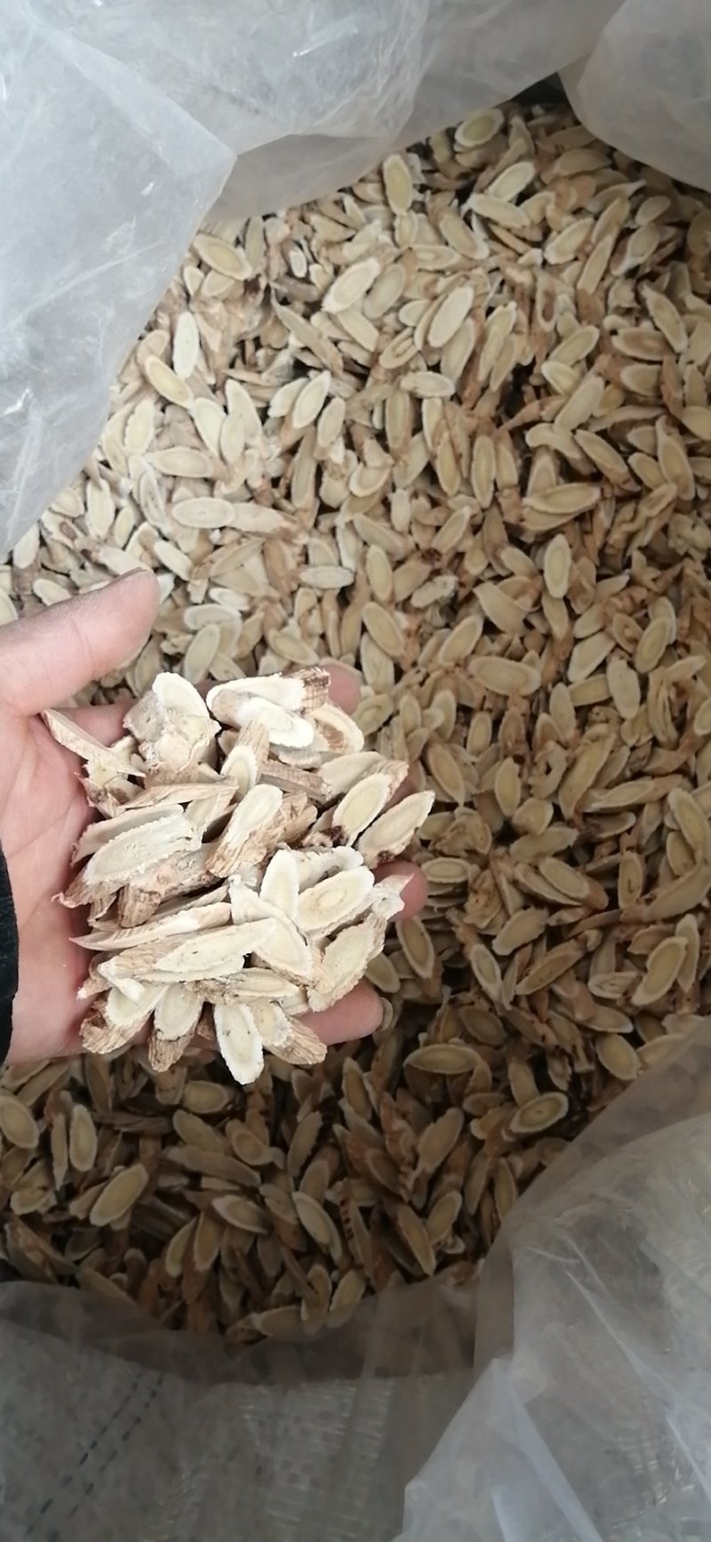 黄芪黄芪瓜子片规格齐全甘肃岷县农家自产欢迎咨询