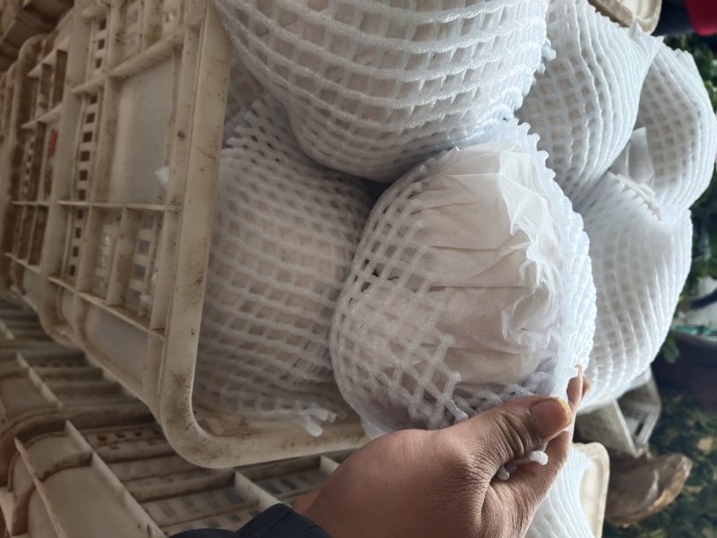 【精品】菜花〔商超品质价格低廉〕代发全国
