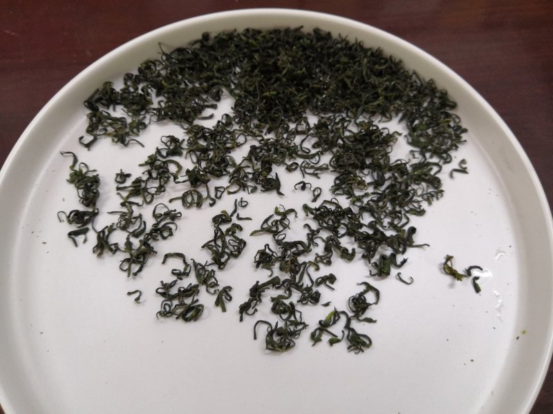 崂山绿茶