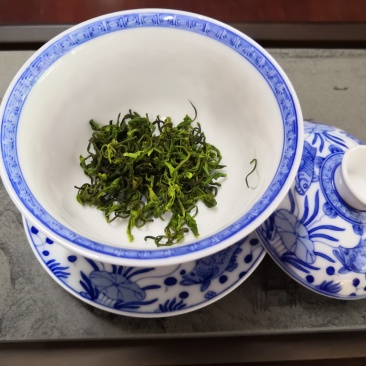 崂山绿茶