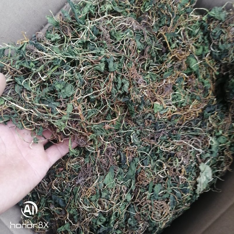 一支箭干货，一手货源，长期供货
