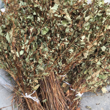 鱼腥草干货折耳根野生***不熏硫太阳晒干***药食同源