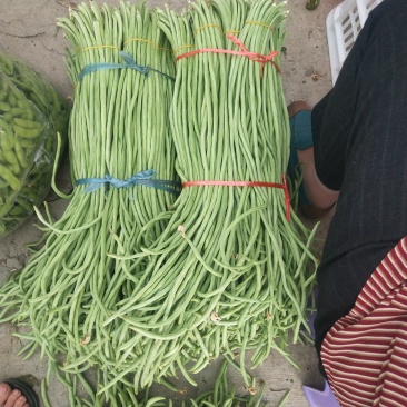 豆角