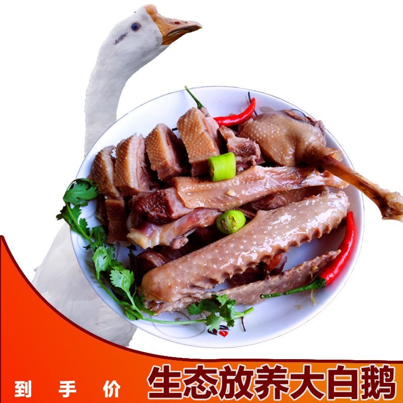 农家散养大白鹅下单即杀鹅发货