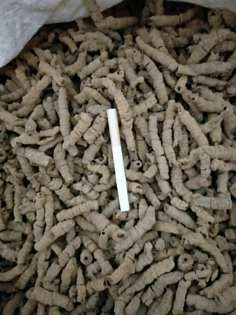 批发零售生熟巴戟天