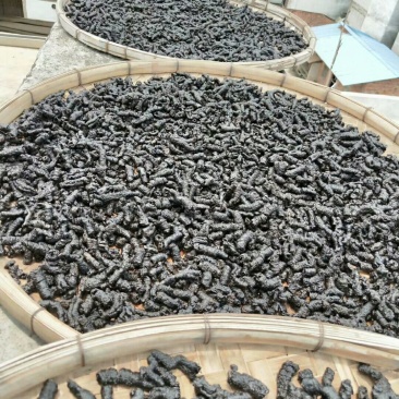批发零售生熟巴戟天