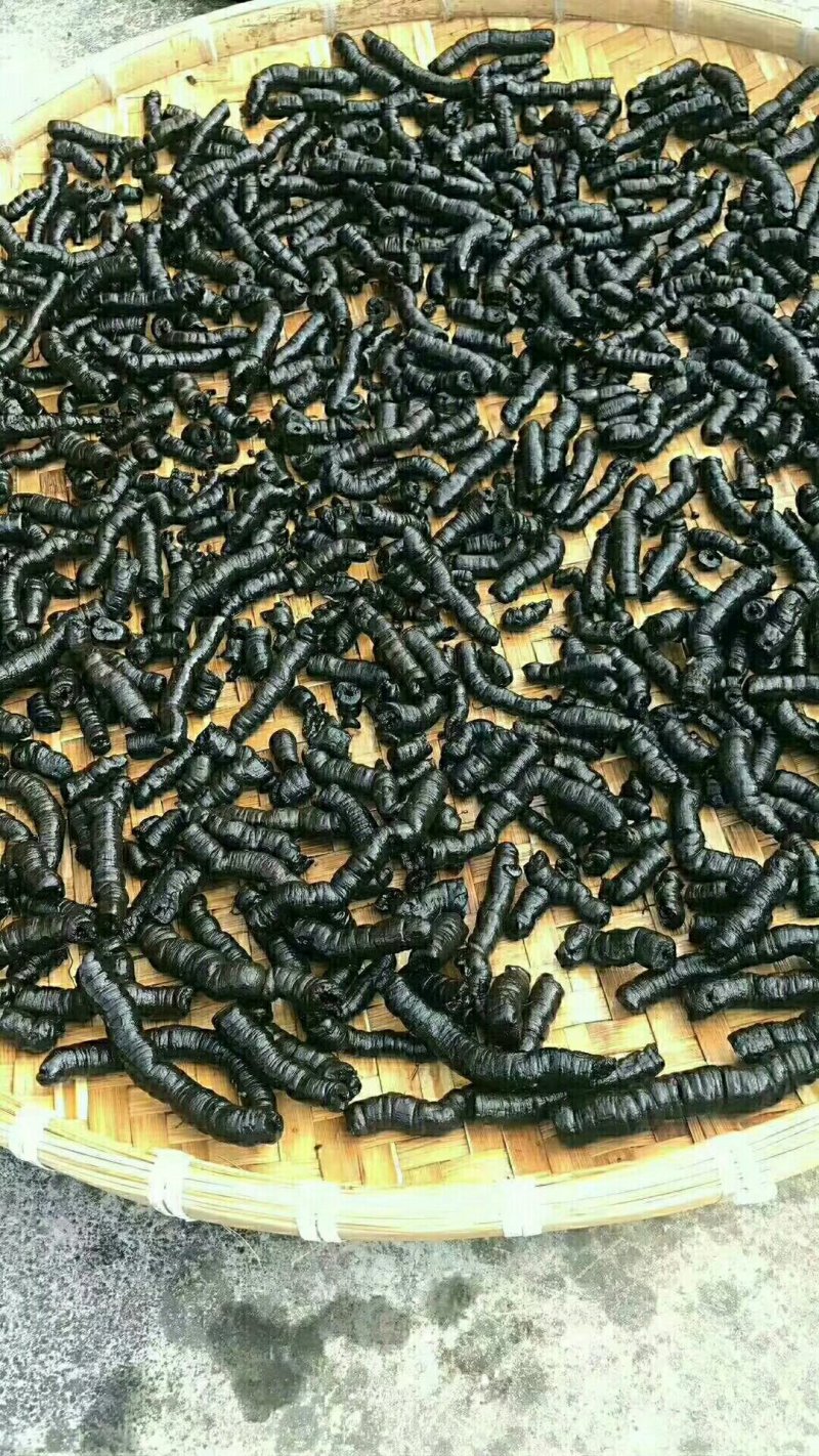 批发零售生熟巴戟天