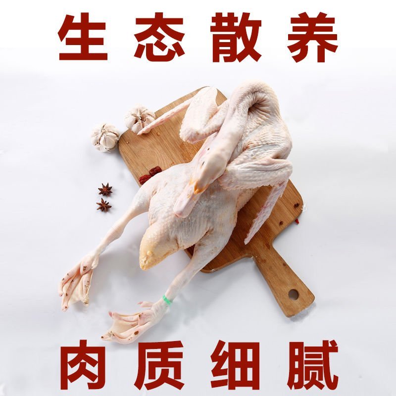 大白鸭农民自养散养大鸭子一件代发