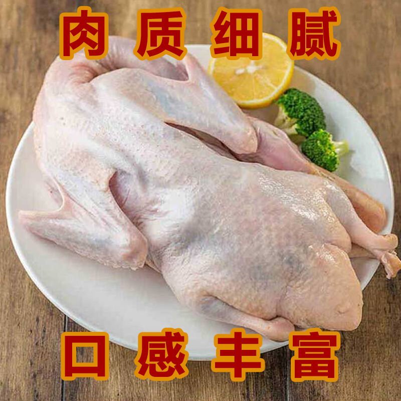 大白鸭农民自养散养大鸭子一件代发