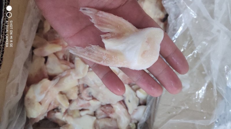 芒鱼翅巴沙鱼翅20斤装