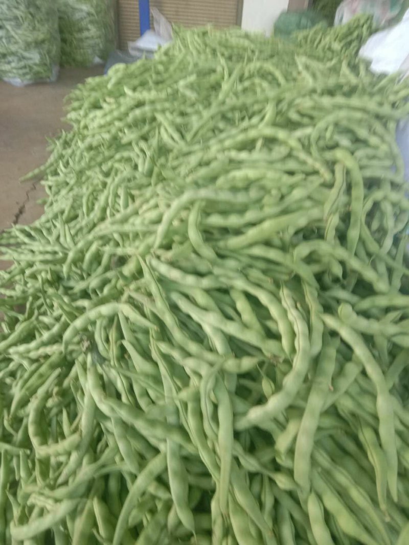 大青豆