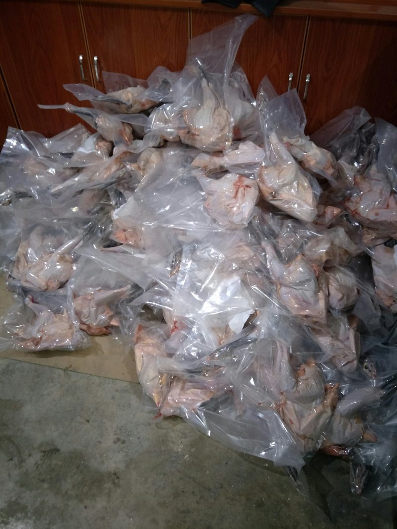 白条鸡