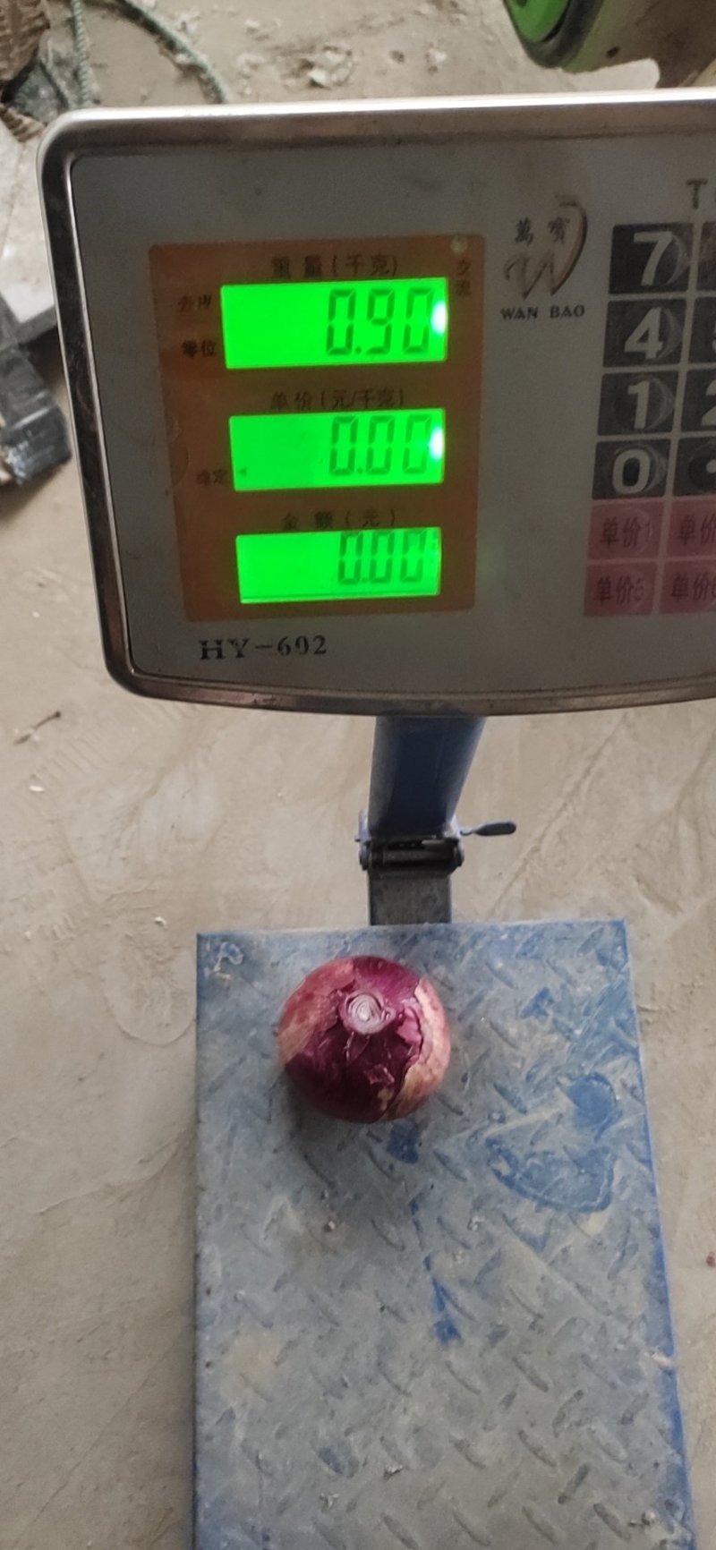 精品二红洋葱保质保量全国代发可视频看货