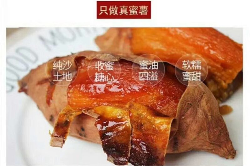 四川精品烟薯25不同规格产地直销支持一件代发