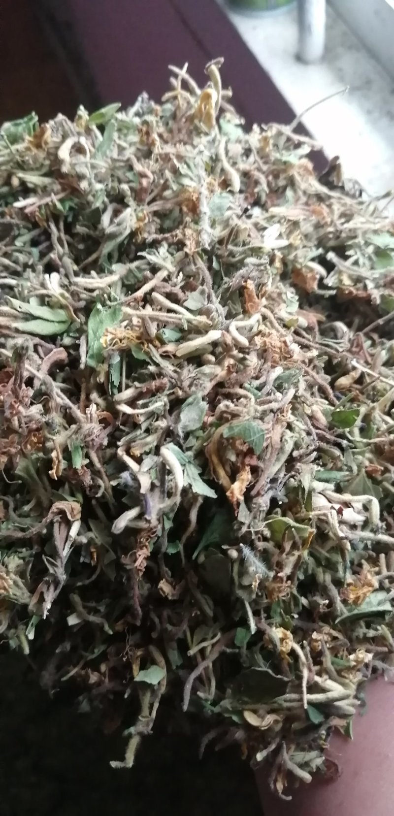 高山无农药无肥料野生金银花